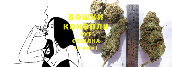 индика Липки