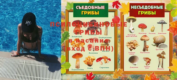 индика Липки