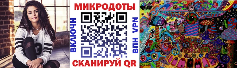 Купить Камень-на-Оби Псилоцибиновые грибы Cubensis