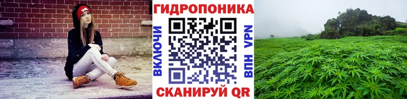 Купить закладки  Камень-на-Оби  Марихуана план 